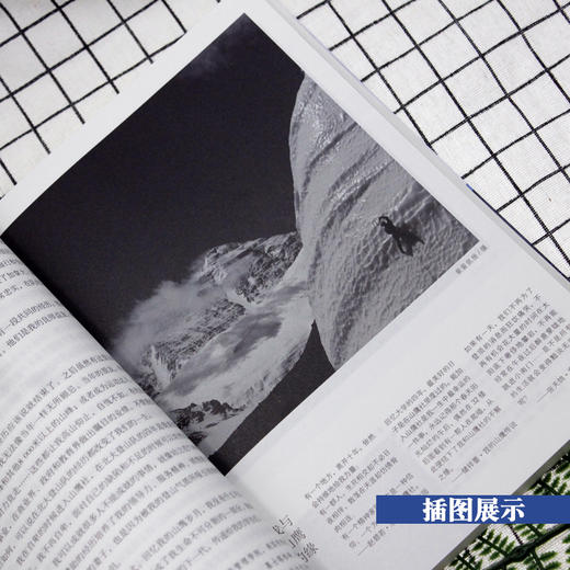 高处有世界:北大山鹰30年 商品图3