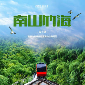 【家庭旅行】 4/12 4/19  暖心特惠 网红地轨 万亩竹海 如此美景 怎能错过  南山竹海一日//静观竹海美景，悠享古街生活，赏竹、品茶，在周末时光中静享人生~