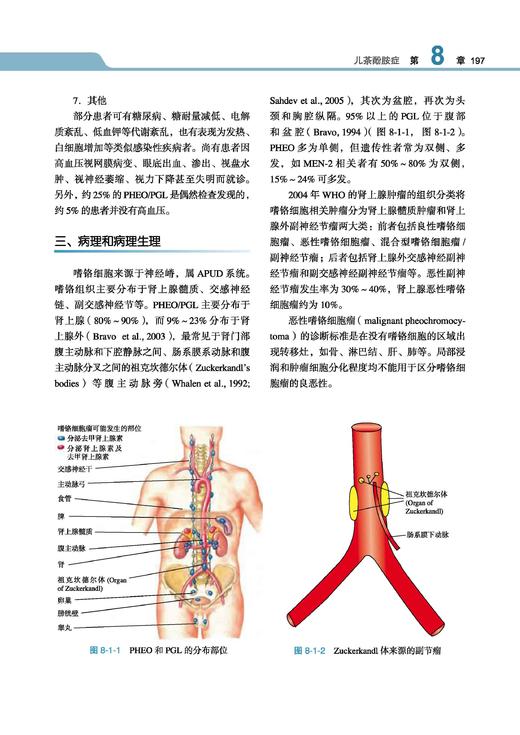 泌尿外科学（上中下卷） 郭应禄等主编 北医社 商品图6