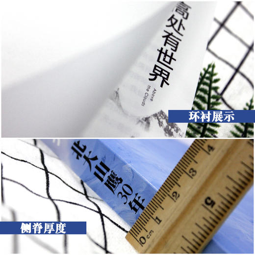 高处有世界:北大山鹰30年 商品图1
