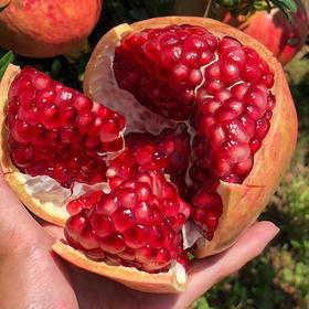 突尼斯软籽石榴