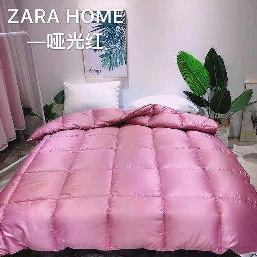 ABC-GY-190902新款羽绒被冬被 商品图3