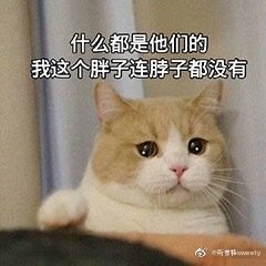 裙子测试