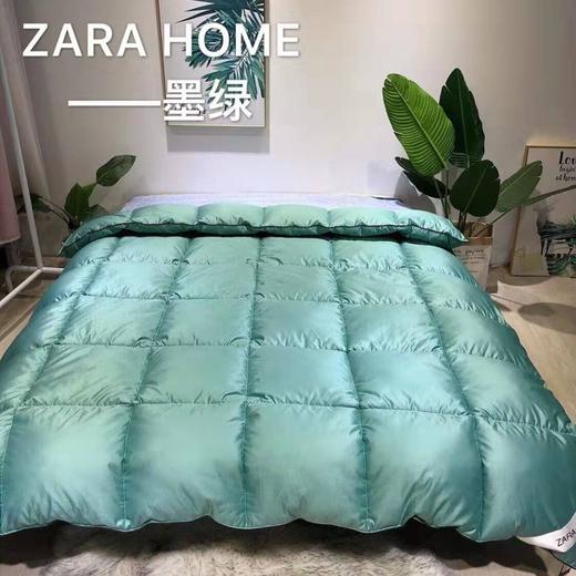 ABC-GY-190902新款羽绒被冬被 商品图0