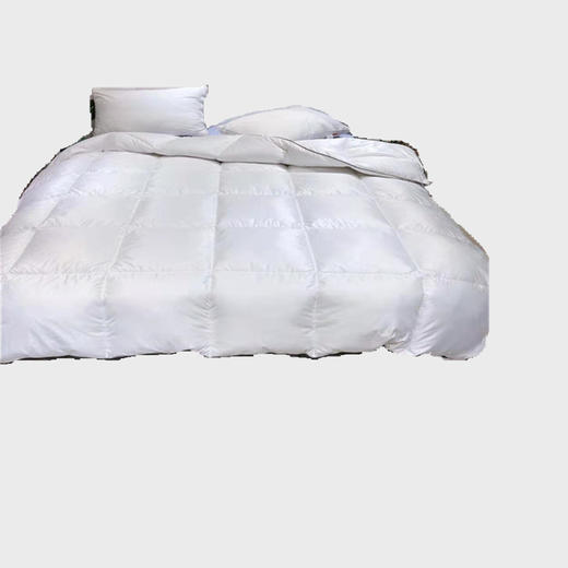 ABC-GY-190902新款羽绒被冬被 商品图4