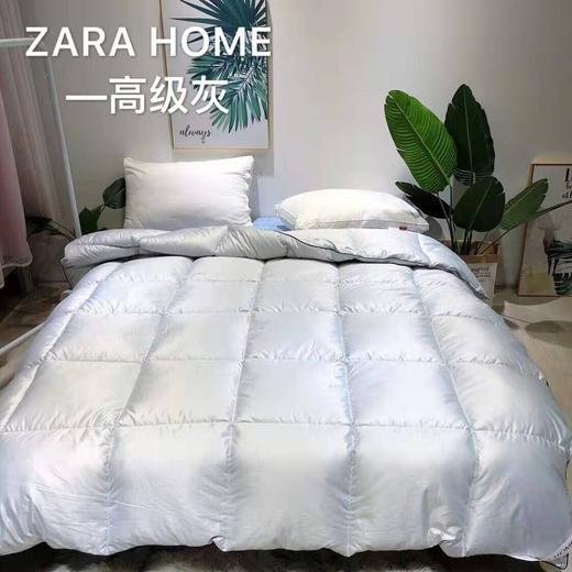 ABC-GY-190902新款羽绒被冬被 商品图2