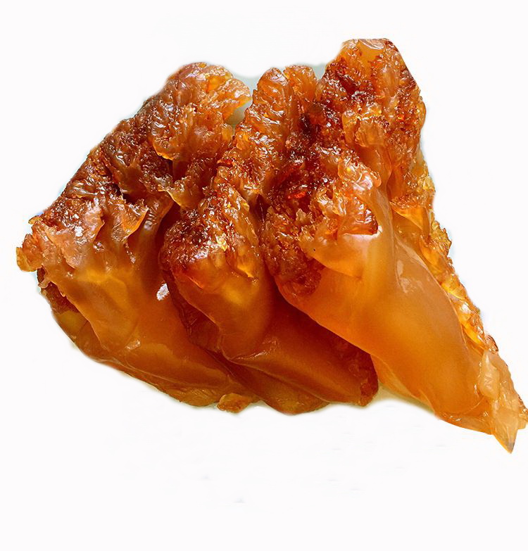 野生海蜇头 特大片