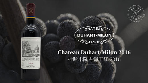 小支375ml杜哈米隆chateauduhartmilon2016