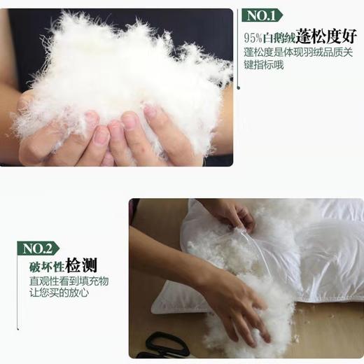 P-（买一送二）羽绒被95白鹅绒春秋被五星级酒店被芯加厚冬被 商品图2