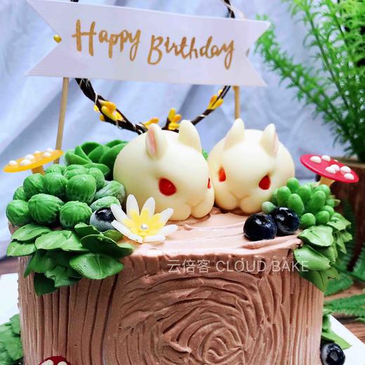 森系场景蛋糕小兔子款 商品图1