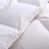 P-（买一送二）羽绒被95白鹅绒春秋被五星级酒店被芯加厚冬被 商品缩略图3