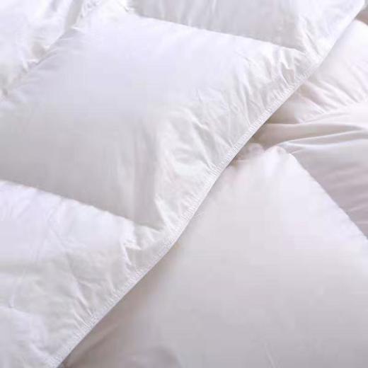 P-（买一送二）羽绒被95白鹅绒春秋被五星级酒店被芯加厚冬被 商品图3