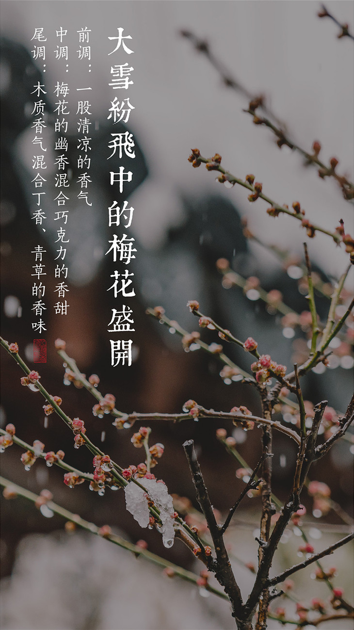 朕的香气雪中春信古方香水30ml瓶