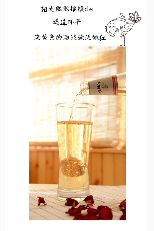 丹麦西打酒  诱惑9号  330Ml 商品图1