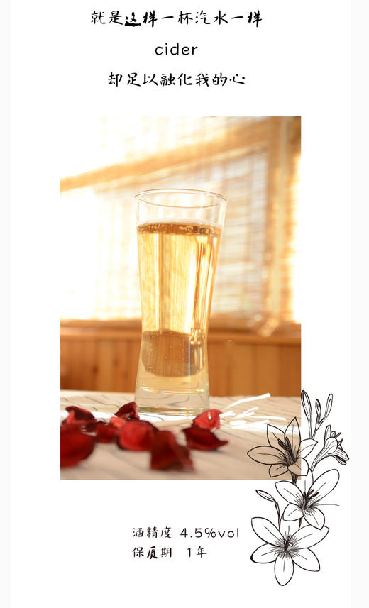 丹麦西打酒  诱惑9号  330Ml 商品图3