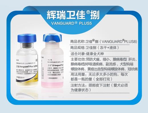 #卫佳捌需冷藏效期2026年9月27号到期成份:犬瘟，细小，副流感，传染性肝炎，传染性支气管炎犬型钩端螺旋体出血性黄疸钩端螺旋体，冠状病毒用于犬瘟预热犬副流感细小病毒传染性肝炎病毒及犬腺病毒性呼吸道 商品图1
