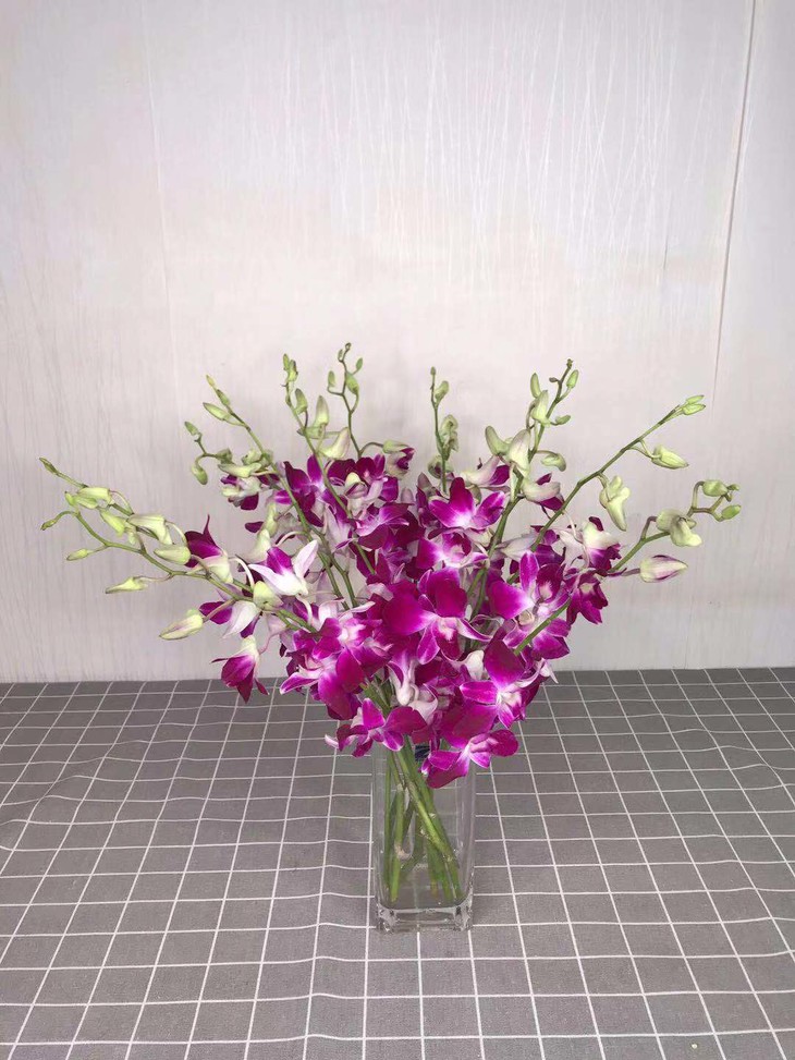 【读本鲜花】32元12支紫色洋兰(包邮)