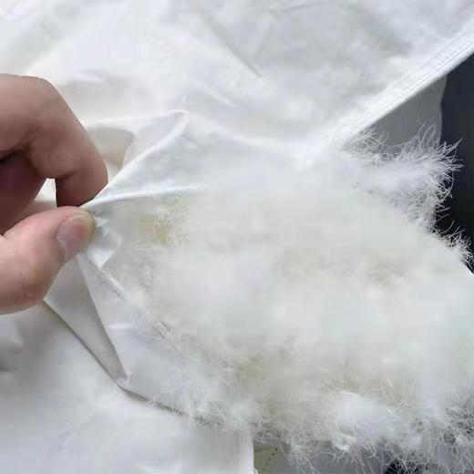 P-（买一送二）羽绒被95白鹅绒春秋被五星级酒店被芯加厚冬被 商品图4