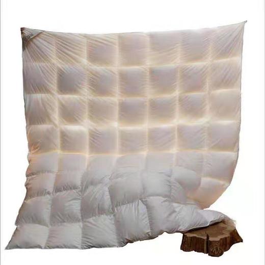 P-（买一送二）羽绒被95白鹅绒春秋被五星级酒店被芯加厚冬被 商品图1