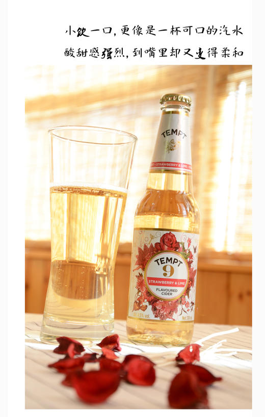 丹麦西打酒  诱惑9号  330Ml 商品图2