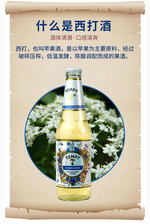 丹麦  诱惑7号 330ml 商品图3