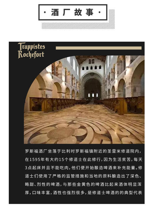 罗斯福10号  比利时啤酒 330ml 商品图4