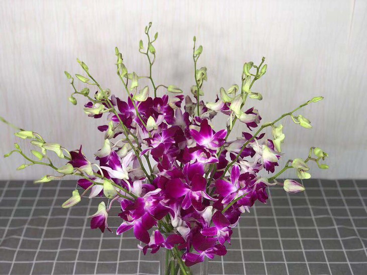 【读本鲜花】32元12支紫色洋兰(包邮)