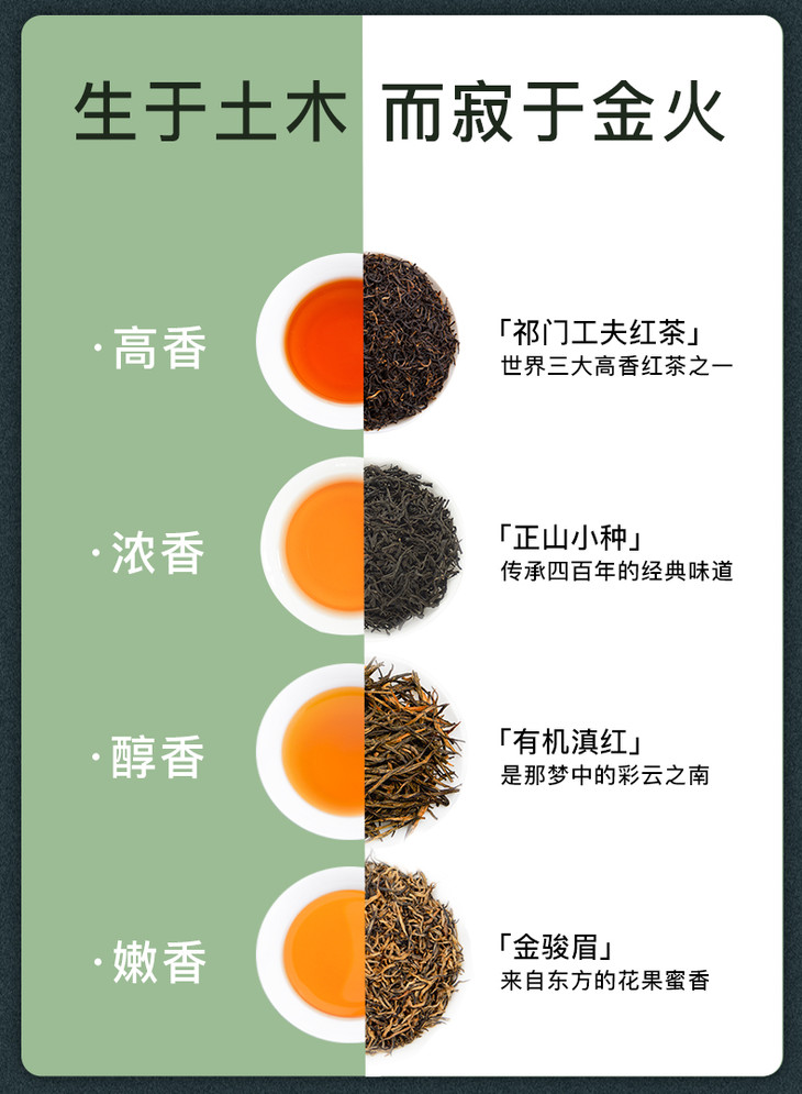 祁门红茶的功效与作用图片