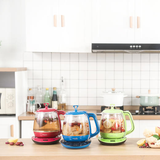 EJC447GRN 养生壶 商品图8