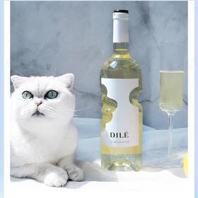 女主的爱 意大利原瓶 天使之手DILE葡萄甜酒