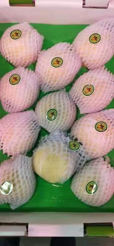 市内同城499元购天山蜜梨一箱6斤左右梨中王者皮细肉滑爆汁