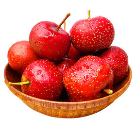 精品山楂/果肉肥厚 微酸软绵