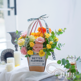 《阳光肆意》手提花篮