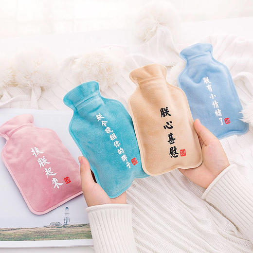 网红爆款抖音绒布热水袋学生可爱韩版少女暖手袋 商品图1