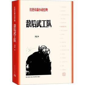 敌后武工队