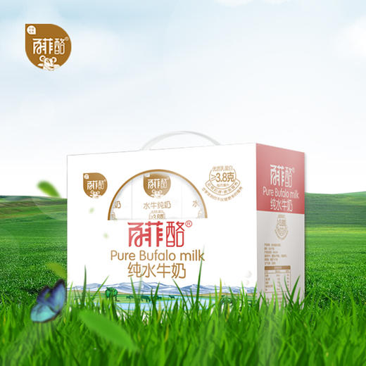 百菲酪水牛纯奶 商品图3