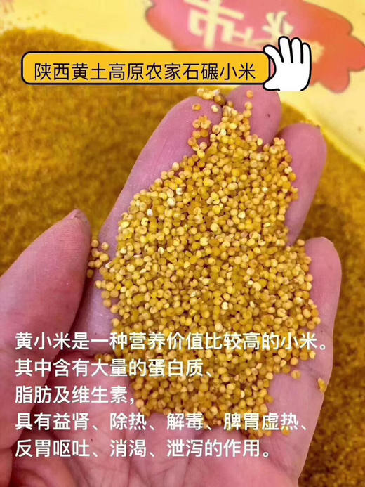 陕北油小米500g 商品图1