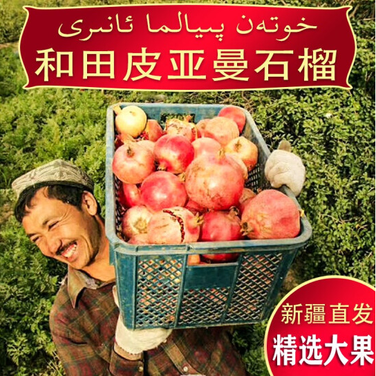 【和田】新疆和田皮亚曼丑石榴 生鲜水果新疆发货