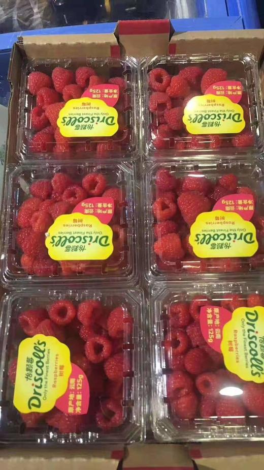 【预定款云南空运】树莓  黑莓 超级新鲜~ 商品图2