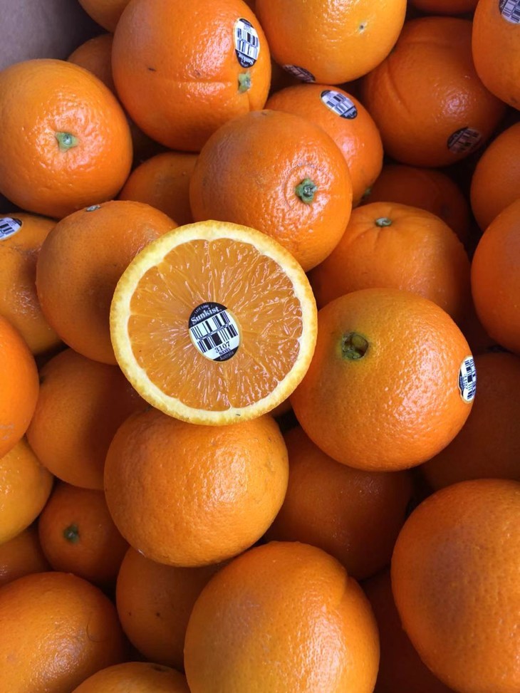 周日取货:澳洲黑标3107橙(大果)!超好吃的橙,没有之一!细腻无渣!超甜!