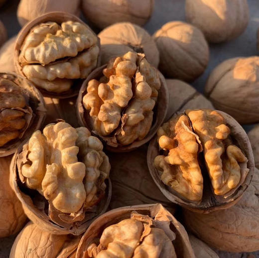 新疆阿克苏185一级真正纸皮核桃 3/5斤装 商品图11