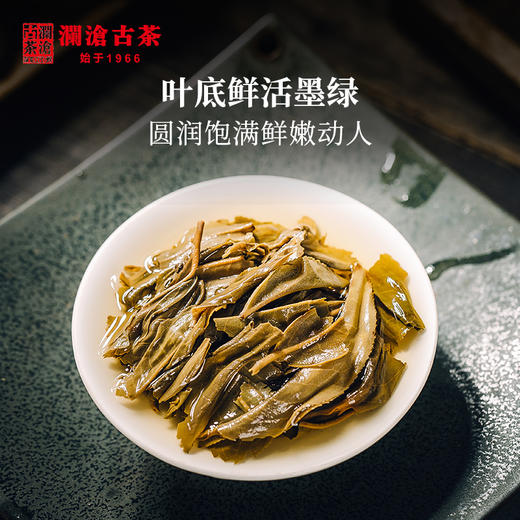 澜沧古茶2016年古树秋香生茶普洱茶云南茶叶景迈山兰香谷花茶 商品图2