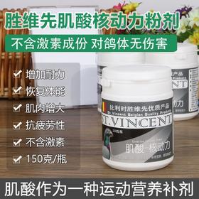 【肌酸―核动力】粉剂150g,增大肌肉、提升肌力、快速恢复、越飞越快（胜维先）