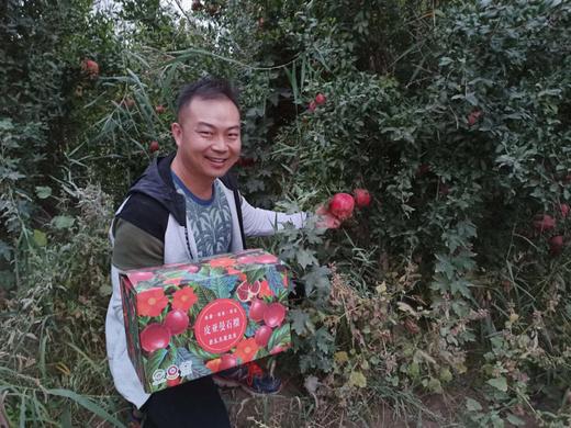 【和田】皮亚曼丑石榴10斤超值装（11-12果） 商品图4