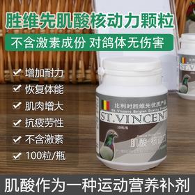 【肌酸―核动力】胶囊100粒，增大肌肉、提升肌力、快速恢复、越飞越快（胜维先）