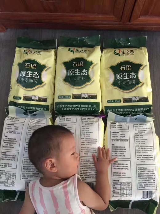 纯地瓜粉条、面粉、 玉米糁、 面条、 有机种植红薯地瓜  生之恋农场 商品图5