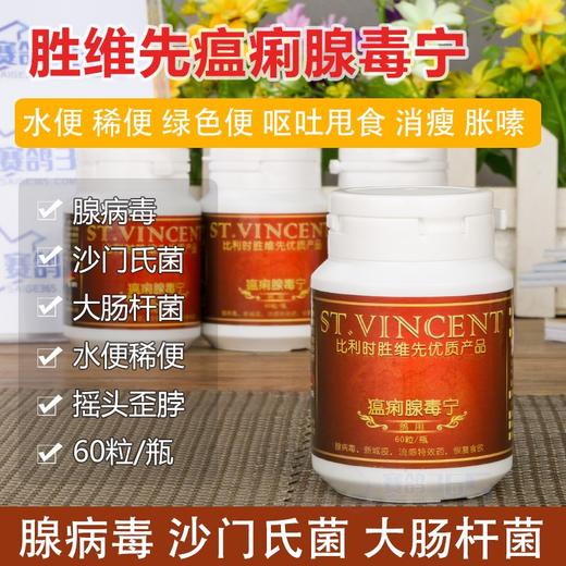 【瘟痢腺毒宁】胶囊60粒，腺病毒、甩食拉稀（胜维先） 商品图0