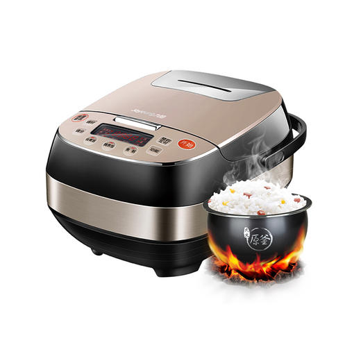 九阳（Joyoung）电饭煲50FY2JPY带授权招加盟代理 商品图0