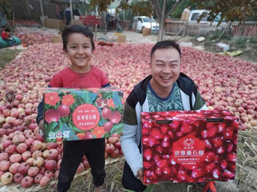 【和田】皮亚曼丑石榴10斤超值装（11-12果） 商品图2
