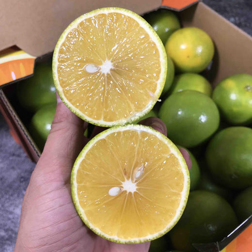 【阳光橙】